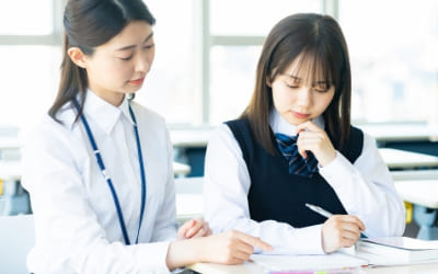家庭教師の英数国理社クラインの夏期講習の個別指導で真剣に勉強する女子高校生