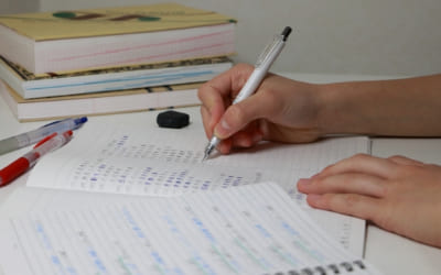 家庭教師の英数国理社クラインからのアドバイスで計画を立てて勉強をしている高校生