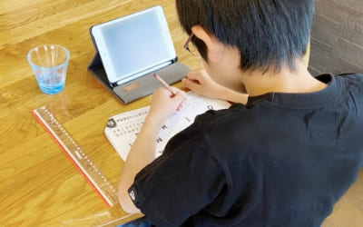 家庭教師の英数国理社クラインのオンライン指導で夏休みに帰省先でオンライン学習を行う小学生男子
